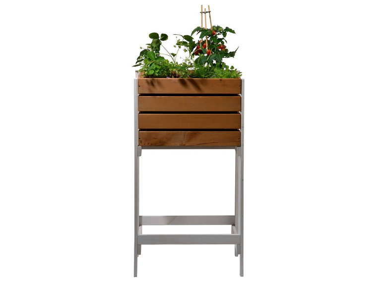 Un pot de fleurs en bois avec une plante de tomate sur un support en métal blanc.