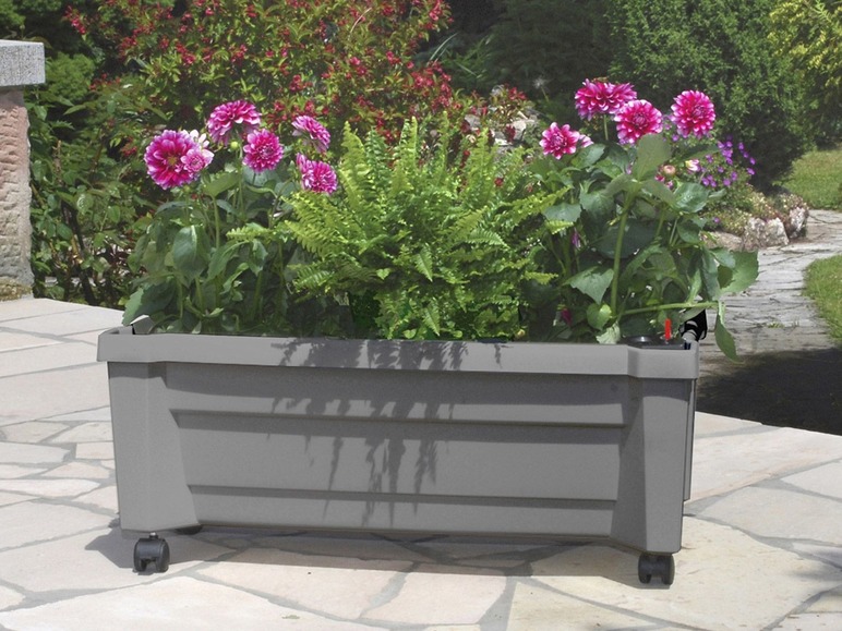 Jardinière grise à roulettes pour fleurs et fougères.