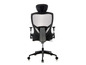 Un fauteuil de bureau noir avec un dossier en mesh et des accoudoirs.