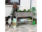 Une femme avec un chien à côté d'un potager surélevé avec des plantes et des outils de jardin.