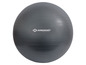 Un ballon de fitness gris de Schildkröt.