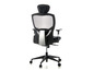 Un fauteuil de bureau noir avec un dossier en maille et des accoudoirs.