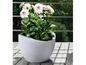 Des dahlias dans un pot gris-blanc sur une terrasse en bois.