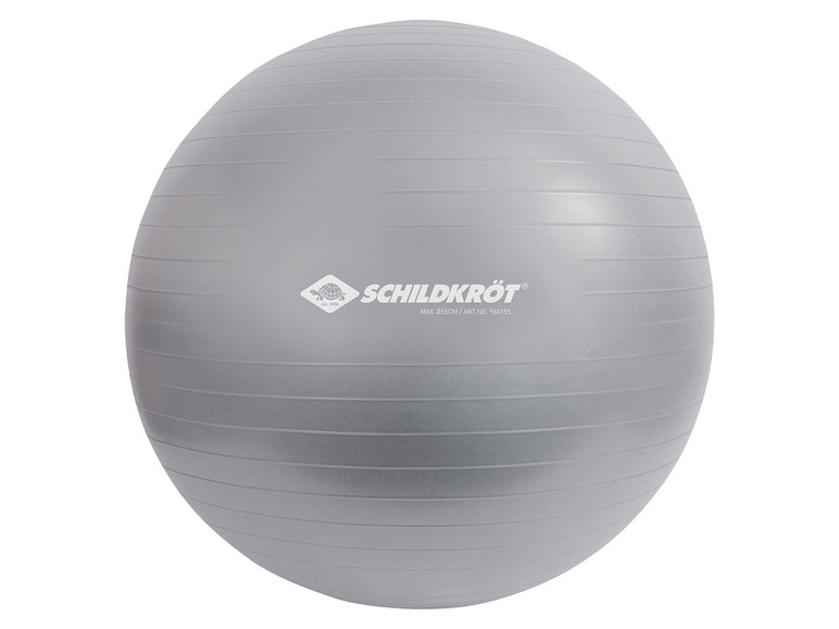 Aller en mode plein écran : Schildkröt Fitness Ballon de gym pour les personnes mesurant entre 160 et 185 cm - Image 7