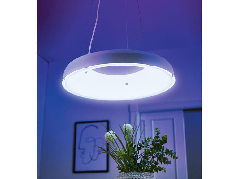 Aller en mode plein écran : LIVARNO home Plafonnier à LED Smart Home - Image 7