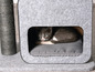 Une maison pour chat en feutre gris avec un chat à l'intérieur