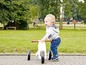 Un petit garçon roule sur un tricycle en bois blanc.