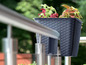 Pot de fleurs avec des plantes sur une balustrade de balcon