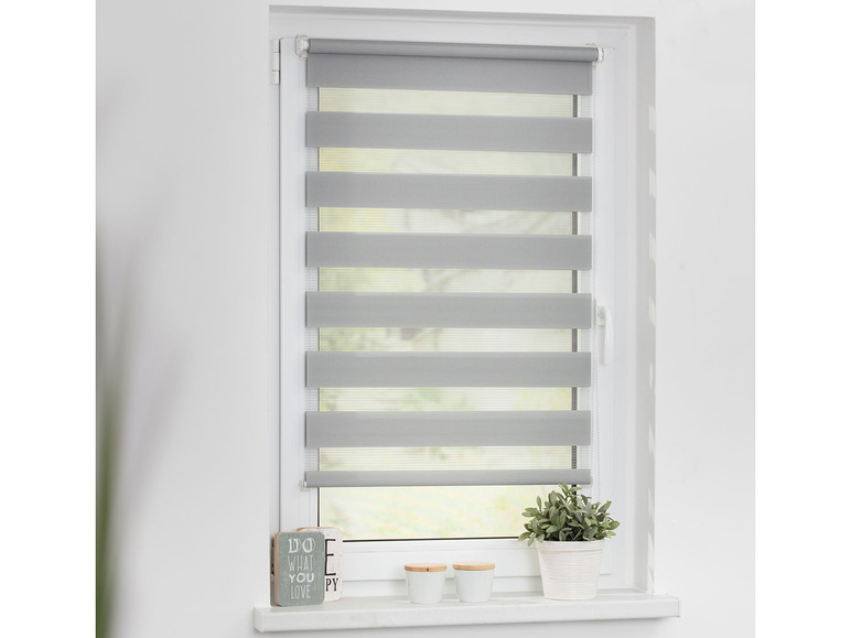 Des stores enrouleurs jour et nuit gris sur une fenêtre avec une plante sur le rebord.