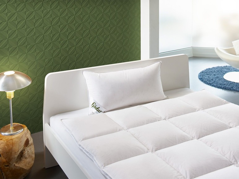 Aller en mode plein écran : Fjödur Oreiller Luxe en plumes d'oie / duvet - Image 1