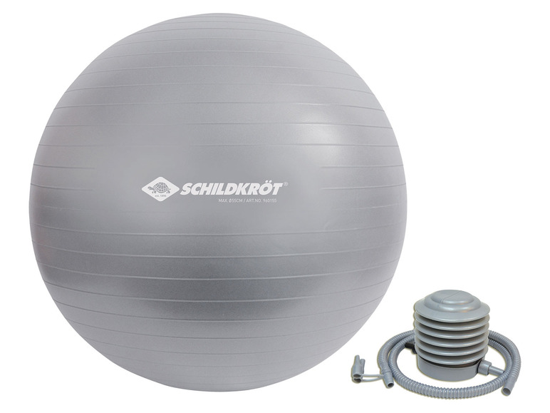 Aller en mode plein écran : Schildkröt Fitness Ballon de gym pour les personnes mesurant entre 160 et 185 cm - Image 3