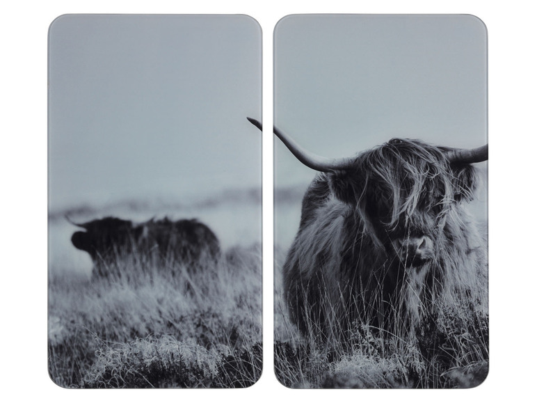 Deux photos en noir et blanc de vaches Highland dans l'herbe.