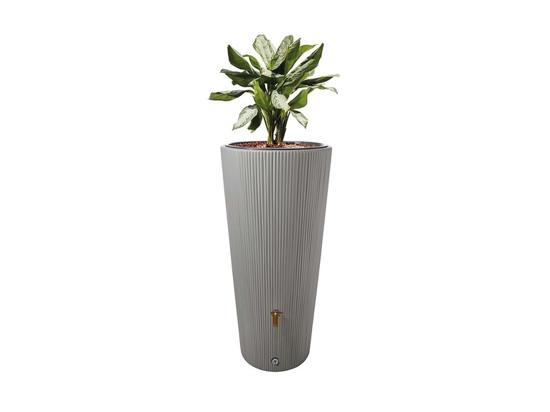 Un tonneau de pluie gris avec une plante et un robinet