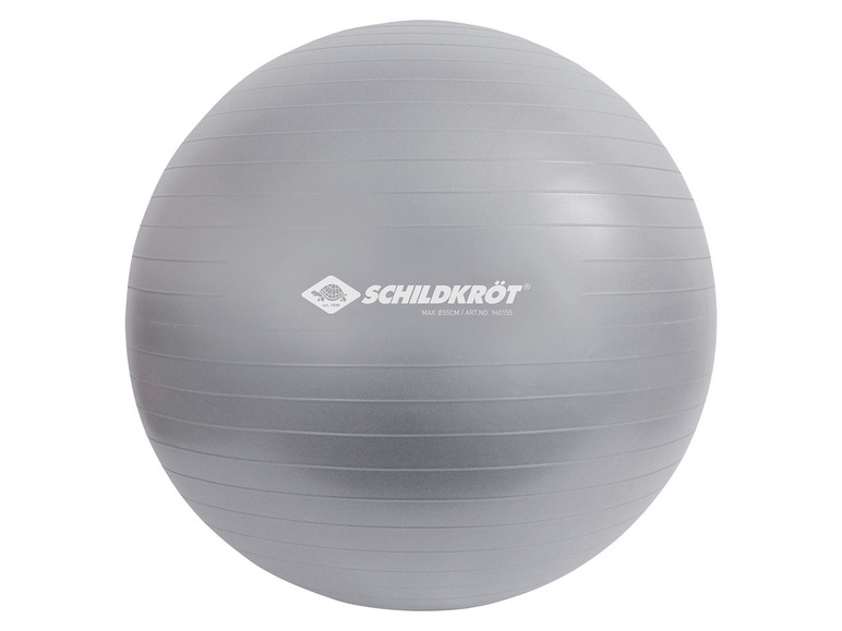 Aller en mode plein écran : Schildkröt Fitness Ballon de gym pour les personnes mesurant entre 160 et 185 cm - Image 2