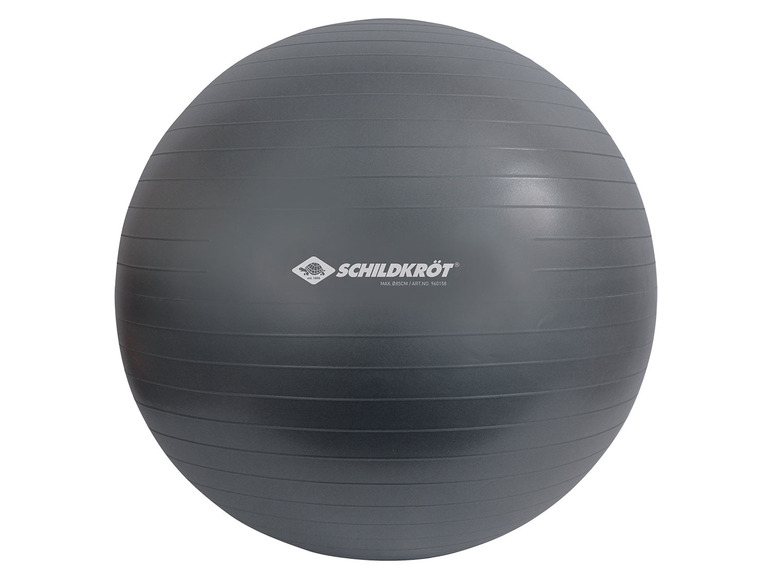 Aller en mode plein écran : Schildkröt Fitness Ballon de gym pour les personnes mesurant entre 160 et 185 cm - Image 13