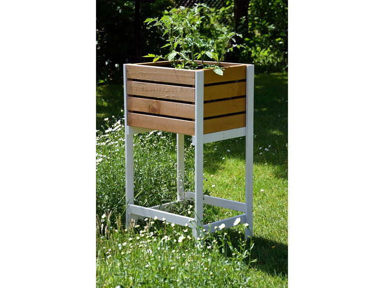 Une jardinière en bois avec un support blanc, adaptée pour cultiver des herbes et des légumes dans le jardin.