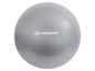 Ballon de fitness gris de Schildkröt.