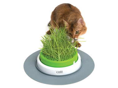 Catit Jardinière d'herbe à chat Senses 2.0