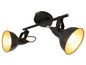 Plafonnier noir avec deux spots orientables.