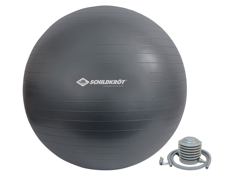 Aller en mode plein écran : Schildkröt Fitness Ballon de gym pour les personnes mesurant entre 160 et 185 cm - Image 12