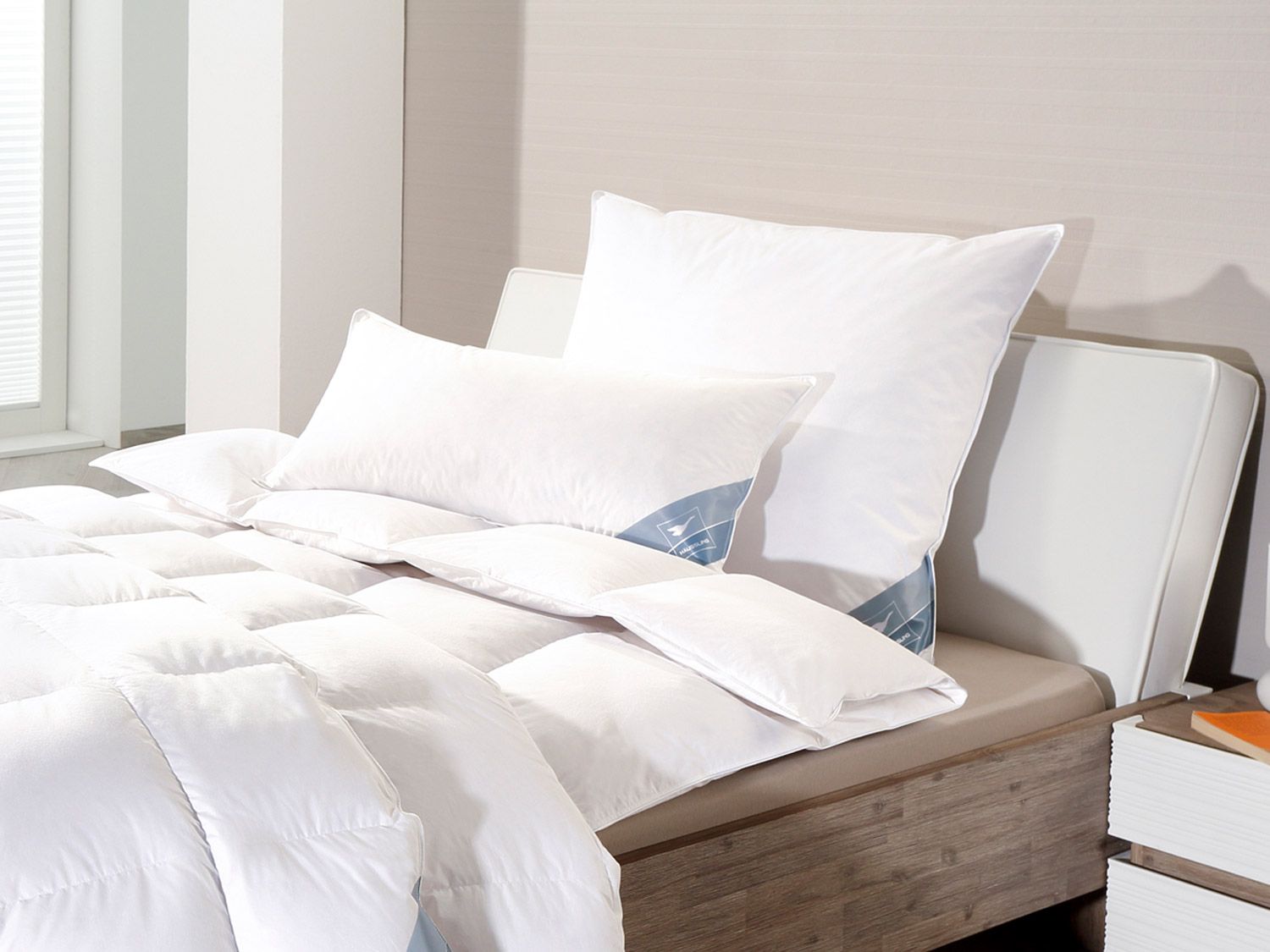 HÄUSSLING Oreiller Premium en plumes et duvet