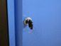 Une porte en métal bleue avec une clé dans la serrure.