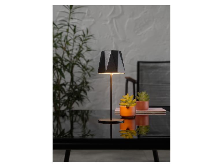 Lampe de table moderne avec abat-jour géométrique, deux plantes succulentes en pot sur une table noire.