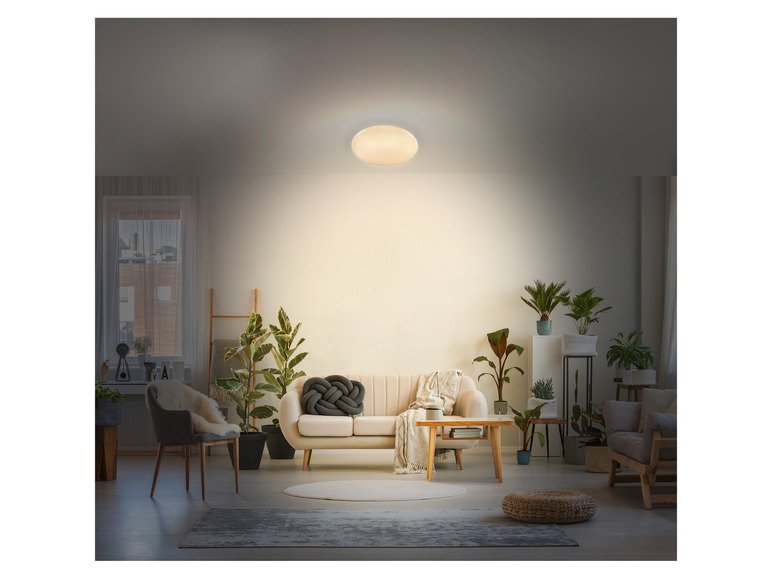 Aller en mode plein écran : LIVARNO home Panneau LED avec variateur de blanc, 38,9 W - Image 3