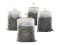 Quatre plantes dans des sacs de culture en plastique blanc.
