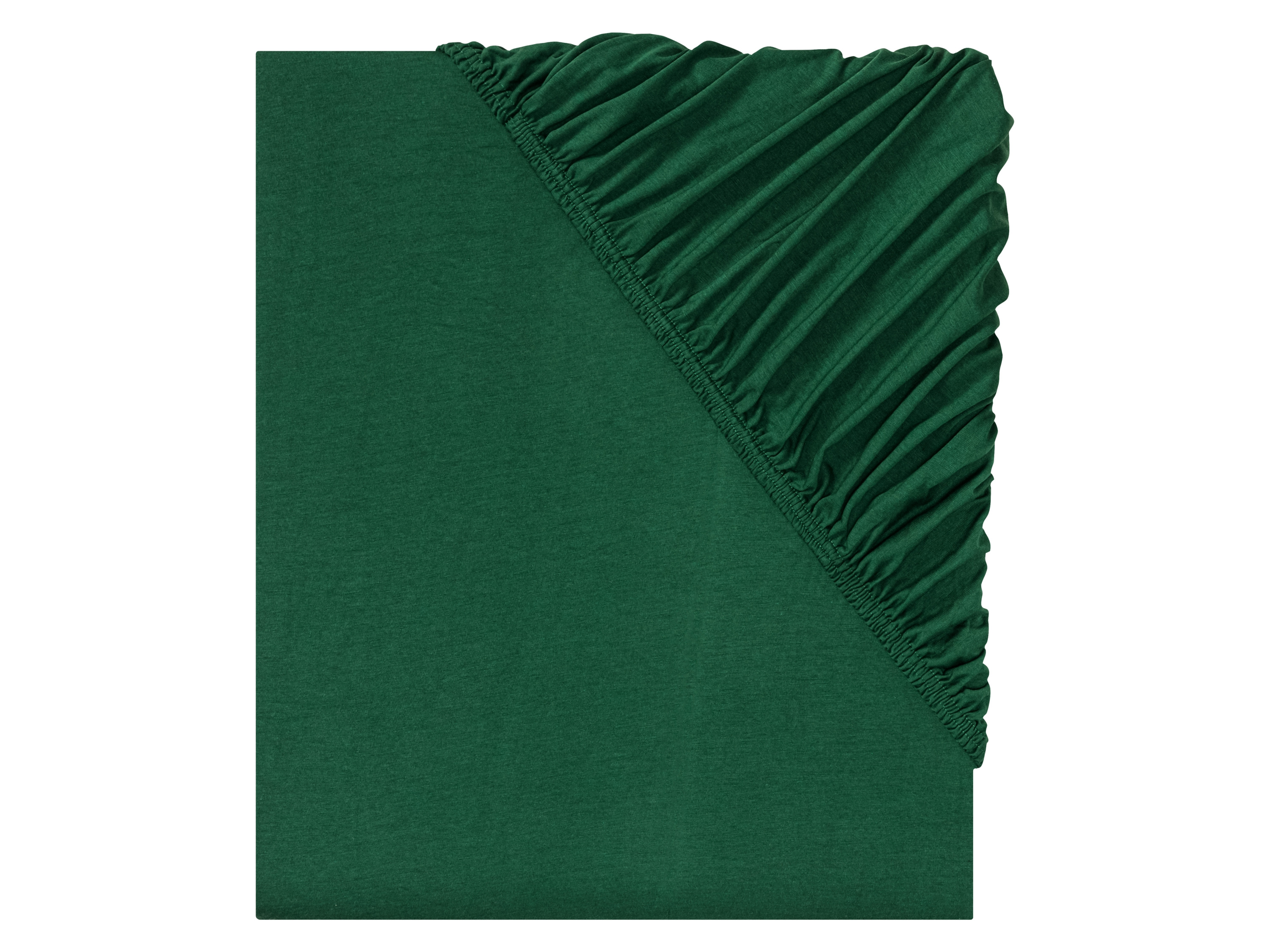 LIVARNO home Drap-housse en jersey, 180-200 x 200 cm (vert)