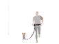 Homme courant avec un chien en laisse mains libres, avec sac banane et gourde.