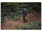 Un homme avec un sac à dos marche dans une forêt avec des bâtons de randonnée.