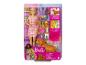 Coffret poupée Barbie avec sa chienne et ses chiots.