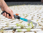 Une main utilisant un outil pour enlever les mauvaises herbes d'un pavé.