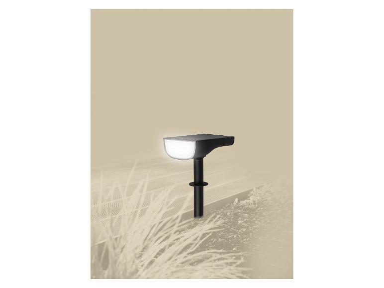Lampe solaire LED dans un jardin, éclairant un chemin.
