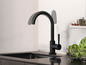 Un robinet de cuisine noir avec un seul levier, installé dans une cuisine moderne.