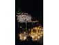 Banc de jardin orné d'un filet de guirlandes LED blanc chaud pour une ambiance festive.