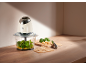 Hachoir alimentaire avec basilic, pignons de pin et fromage sur un comptoir en bois, prêt pour le pesto.
