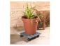 Plante en pot terracotta sur un dessous de pot roulant gris.