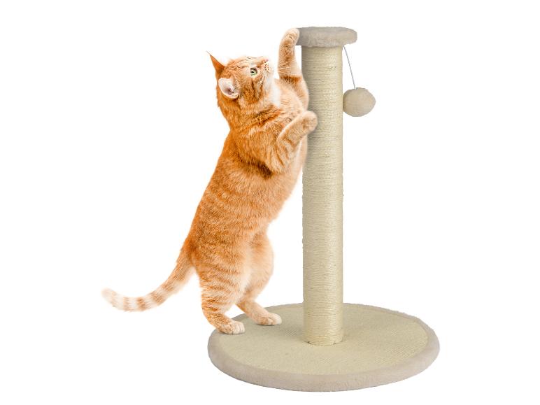 Un chat roux joue avec un griffoir pour chat.