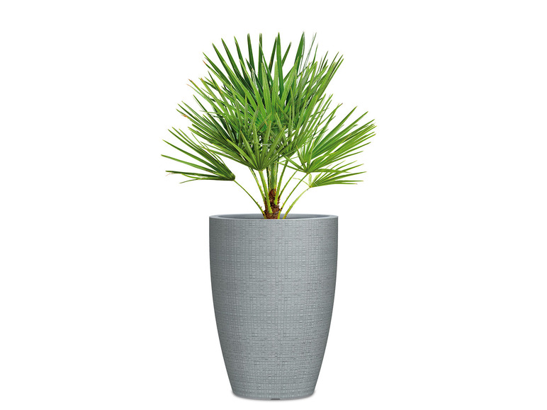 Aller en mode plein écran : Scheurich Haut pot à plantes « Barceo High », plastique - Image 3
