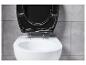 Un couvercle de toilette noir sur des toilettes blanches.