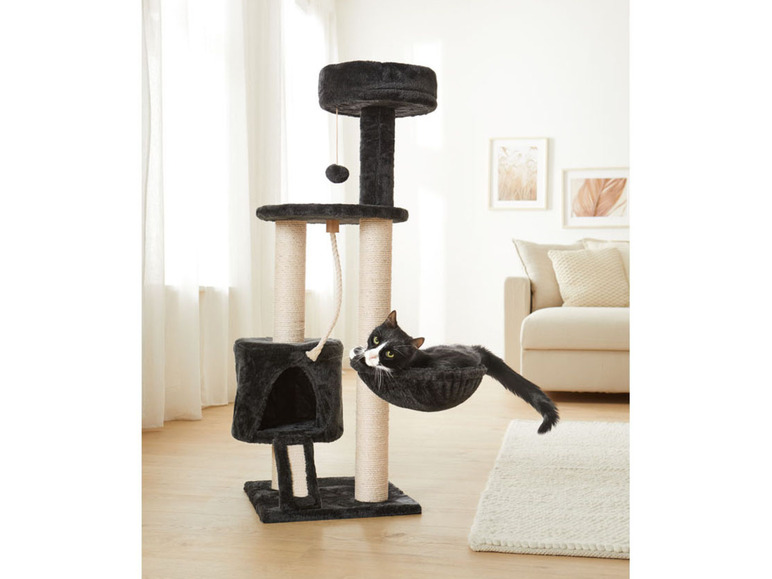Arbre à chat