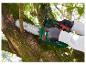 Une personne utilise une tronçonneuse Parkside pour couper une branche d'arbre.