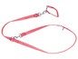 Une laisse et un collier pour chien rose de Zooafari.