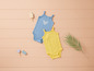 Deux bodies pour bébé, un bleu avec des fleurs et un jaune, sur un fond en bois.