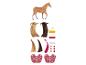 Figurines de cheval avec des accessoires pour le soin et le changement de la crinière.