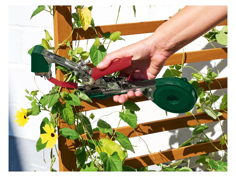 Main utilisant un outil d'attachage de plantes pour fixer une plante grimpante à fleurs jaunes à un treillis en bois.