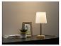 Une lampe de table avec un abat-jour blanc, une plante dans un pot jaune et des livres sur un dessus de table foncé.
