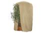 Olivier en pot de terre cuite, partiellement couvert par une housse beige.